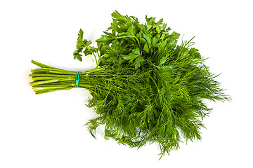 Image showing Fresh branches of green dill and Parsley tied isolated