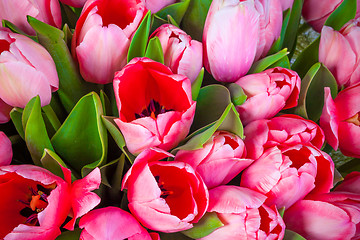 Image showing Bunch of tulips