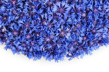 Image showing Beautiful spring flowers blue cornflower on background