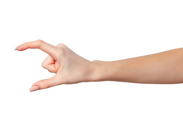 Image showing Female hand reaching for something on white