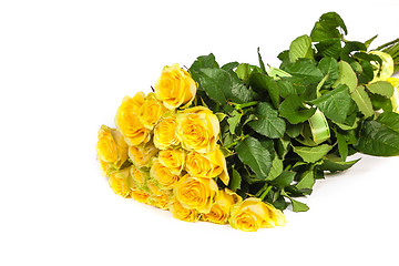 Image showing Group of fresh yellow roses