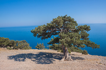 Image showing Summer view seacoast. Sudak beach. Black Sea, Ukraine