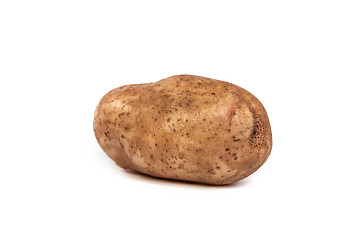 Image showing One potato isolated on white