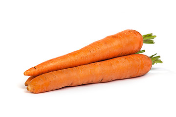 Image showing Bunch of fresh carrot isolated on white