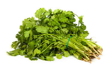 Image showing Parsley tied in a bunch with twine isolated