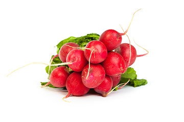 Image showing A bunch of fresh radishes isolated on white