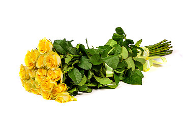 Image showing Group of fresh yellow roses