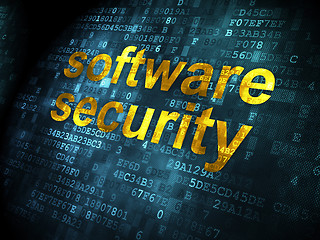 Image showing Security concept: Software Security on digital background