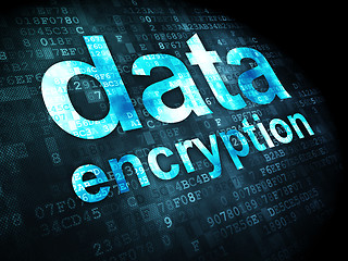 Image showing Privacy concept: Data Encryption on digital background
