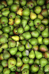 Image showing pears