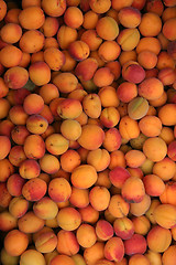 Image showing apricots