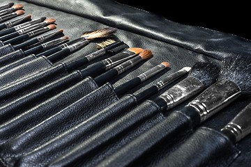 Image showing Makeup Tools in a leather case