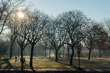Image showing Small park in early spring weather
