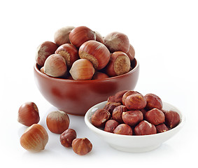 Image showing various hazelnuts