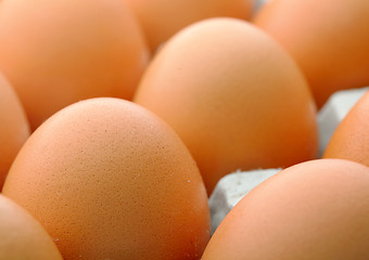 Image showing Brown egg