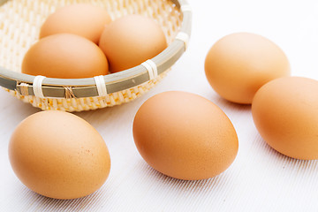 Image showing Chicken brown egg