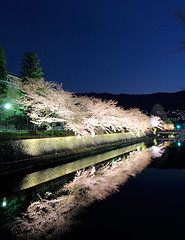 Image showing Biwa canal with sakura tree in Kyoto
