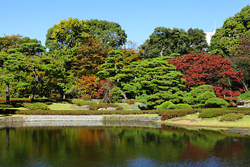 Image showing Japanese garden