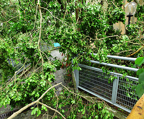 Image showing Destroy after typhoon