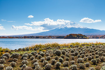 Image showing Mountain Fuji