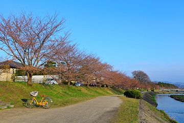 Image showing Kamo River in Kyoto