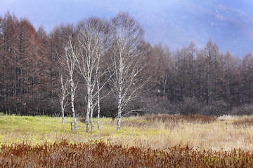 Image showing Plateau in Japan 