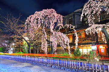 Image showing Gion city with sakura tree at night