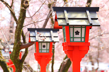 Image showing Red lantern with sakura tree in japanese temple