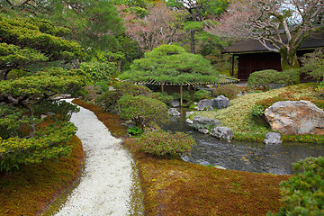 Image showing Japan garden