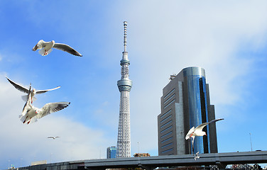 Image showing Tokyo cityscape