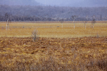 Image showing Plateau in Nikko 