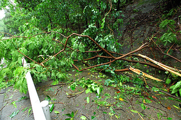 Image showing Demaged after typhoon in city