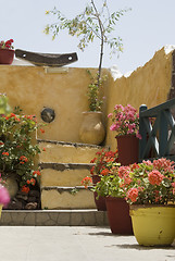 Image showing flower display greek islands