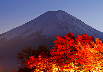 Image showing Mountain Fuji with maple