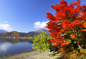 Image showing Lake kawaguchi in autumn season