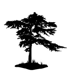 Image showing Tree silhouette isolated on white background
