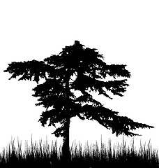 Image showing Tree and grass in silhouette are isolated on white background 