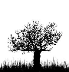 Image showing Tree and grass in silhouette are isolated on white background