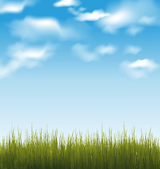 Image showing Spring background with green grass and sky