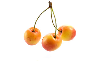 Image showing cherries