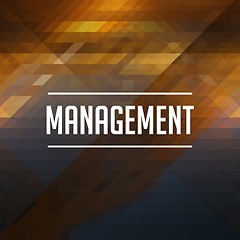 Image showing Management Concept on Retro Triangle Background.