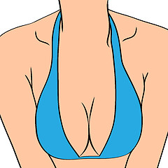 Image showing Female sexy breast