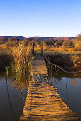 Image showing Rope bridge