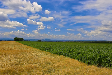 Image showing Fields against a blue sky