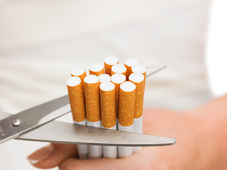 Image showing close up of scissors cutting many cigarettes