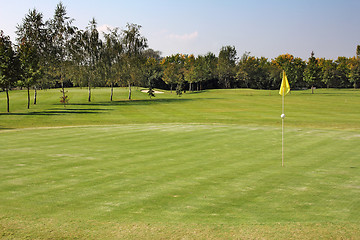 Image showing Holes of golf