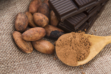 Image showing Cocoa (cacao) beans with chocolate