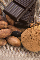 Image showing Cocoa (cacao) beans with chocolate