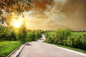 Image showing Asphalted road and birches