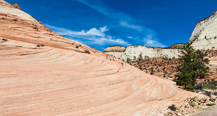 Image showing Zion National Park